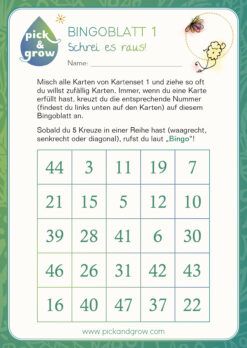 Bingo zum Download